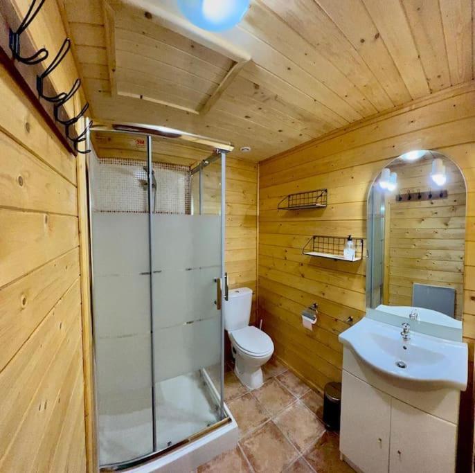 Chalet 6B Dans Les Pyrenees Proche D'Andorre LʼHospitalet-près-lʼAndorre 외부 사진